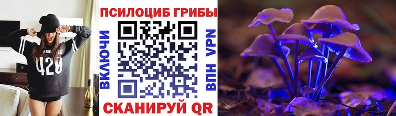 наркотики  мега онион  Галлюциногенные грибы Psilocybe  Ветлуга 